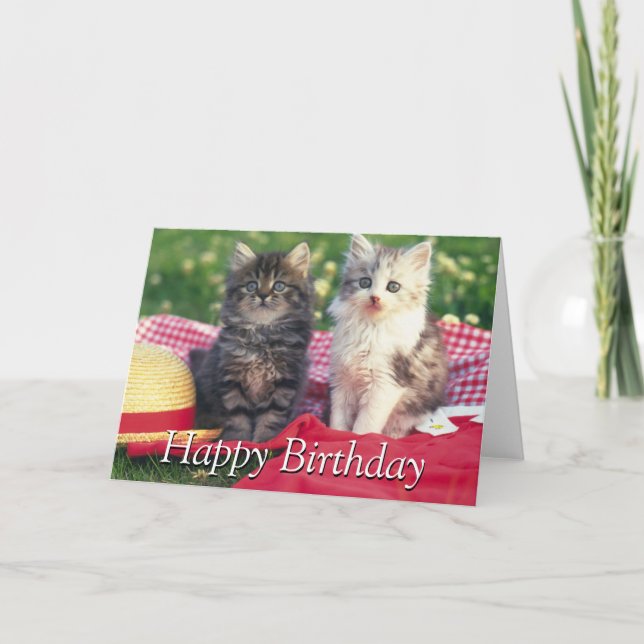 Two Kittens Sitting On A Red-Coloured Blanket Card (Front)