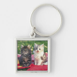 Two Kittens Sitting On A Red-Coloured Blanket Key Ring
