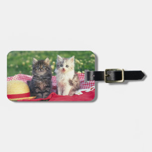Two Kittens Sitting On A Red-Coloured Blanket Luggage Tag