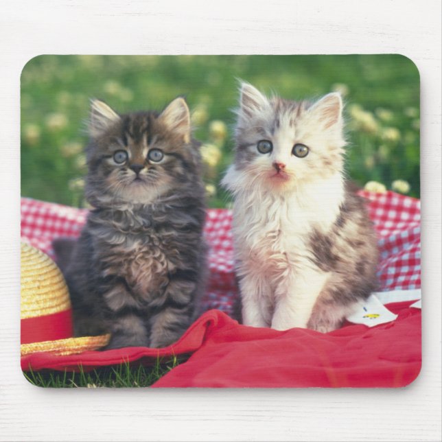 Two Kittens Sitting On A Red-Coloured Blanket Mouse Pad (Front)