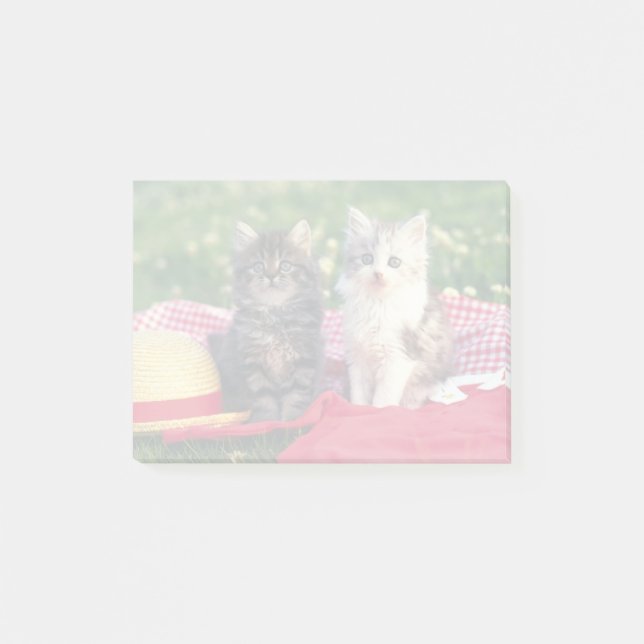Two Kittens Sitting On A Red-Coloured Blanket Post-it Notes (Front)