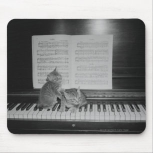 Two kittens sitting on piano keyboard by sheet mouse pad