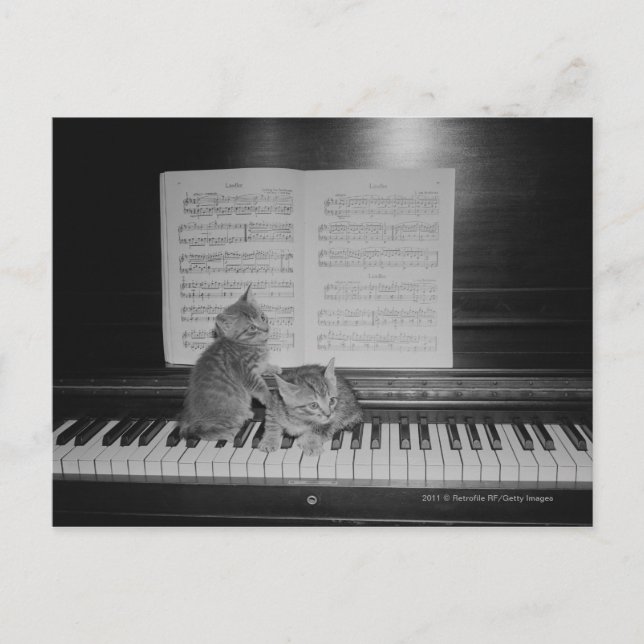 Two kittens sitting on piano keyboard by sheet postcard (Front)