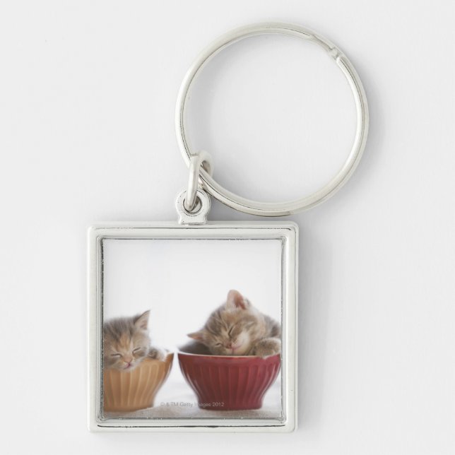 Two Kittens Sleeping in Bowls Key Ring (Front)