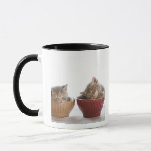 Two Kittens Sleeping in Bowls Mug