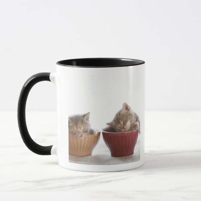 Two Kittens Sleeping in Bowls Mug (Left)