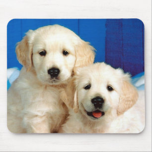 Two Labrador pups Mouse Pad