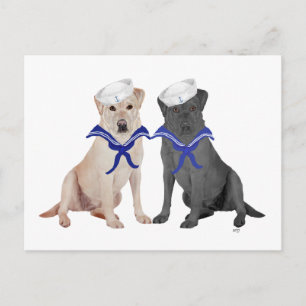 Two Labrador Retrievers Postcard