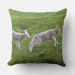 Two Lambs Cushion