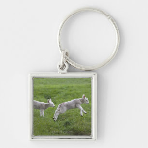 Two Lambs Key Ring