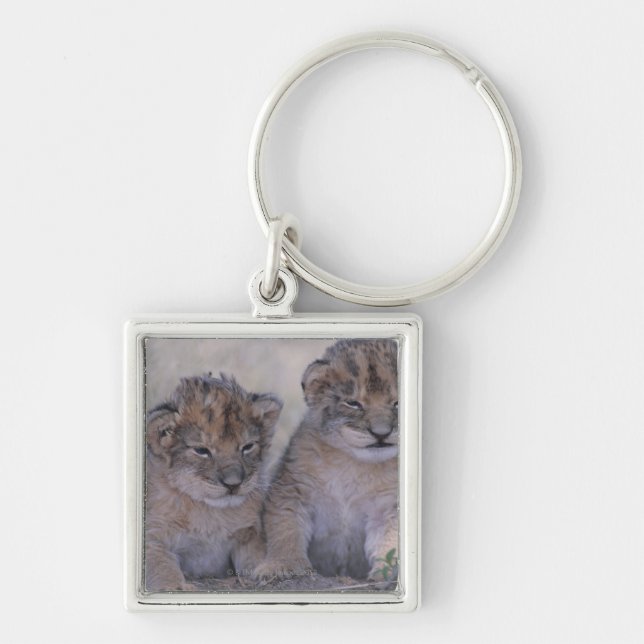 Two Lion Cubs Key Ring (Front)
