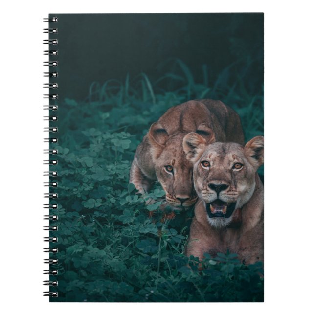TWO LIONESS ON GREEN PLANTS NOTEBOOK (Front)