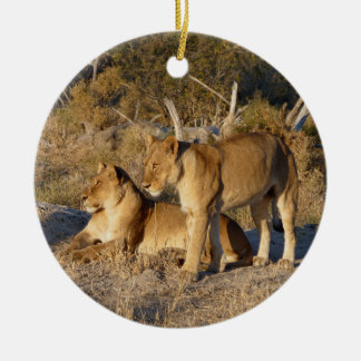 TWO LIONESSES TOGETHER CERAMIC TREE DECORATION
