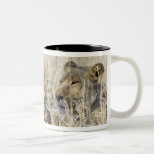 Two lions hidden in dry grass, Kruger National Two-Tone Coffee Mug