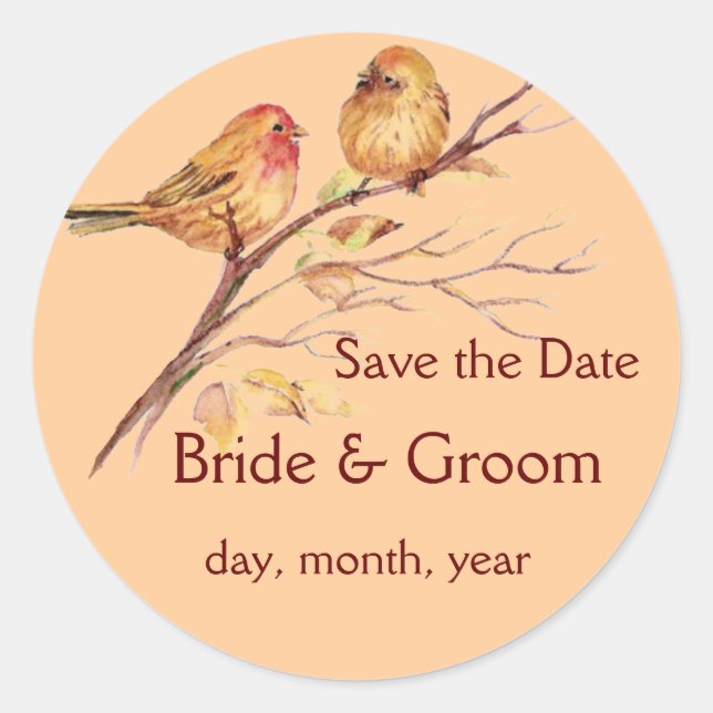 Two Little Bird Sparrows Peach Brown Rustic Nature Classic Round Sticker (Front)