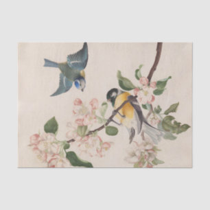 Two little birds near a branch of apple blossoms,  tissue paper