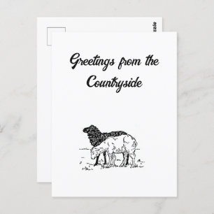 Two Little Lambs Cute Sheep Farm Drawing Postcard