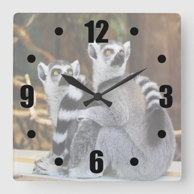 Two Little Lemurs Square Wall Clock (Front)