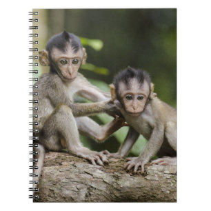 Two Little Monkeys Notebook