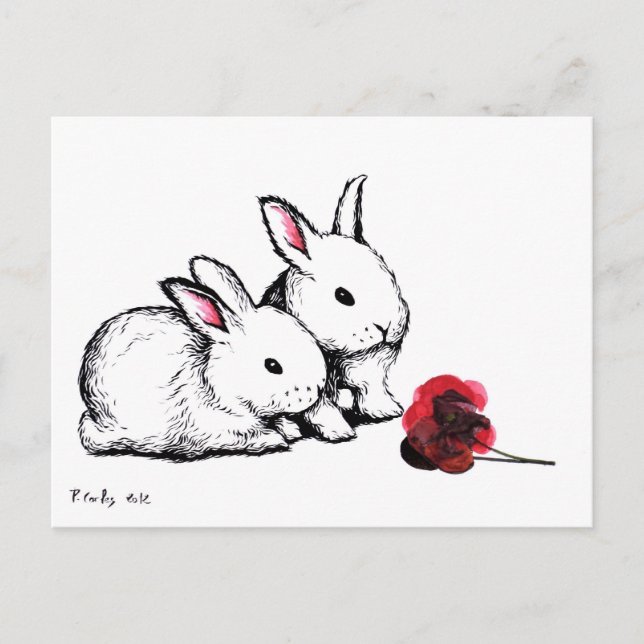 Two Little White Rabbits Postcard (Front)