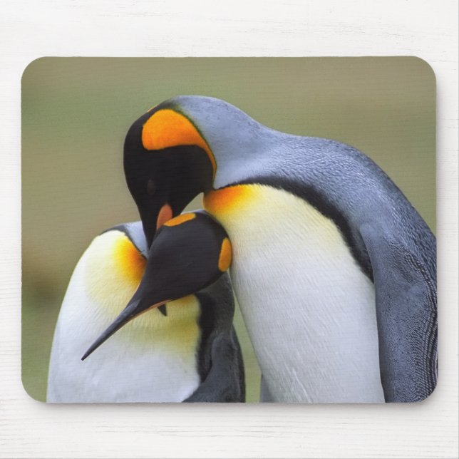 Two love penguins mouse pad (Front)