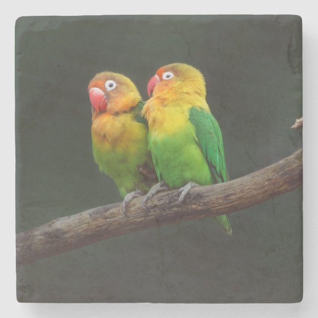 Two Lovebirds on a Branch Stone Coaster (Front)
