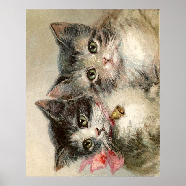 Two lovely Victorian kittens Poster (Front)