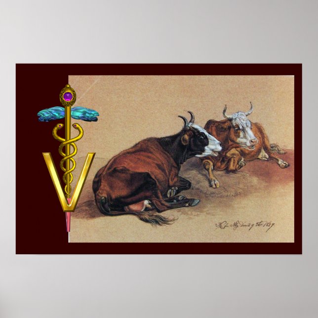TWO LYING COWS GOLD CADUCEUS VETERINARY SYMBOL POSTER (Front)