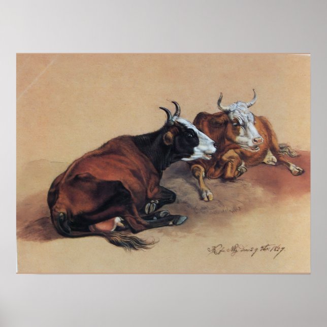 TWO LYING COWS POSTER (Front)