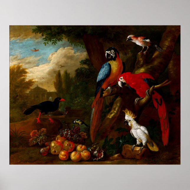 Two Macaws a Cockatoo and a Jay with Fruit Poster (Front)