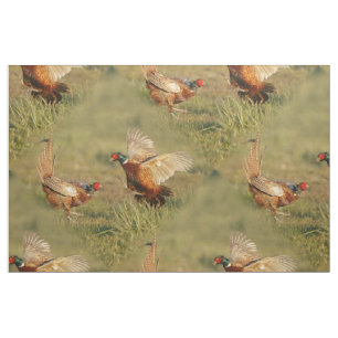 Two male ring-neck pheasants fighting. fabric