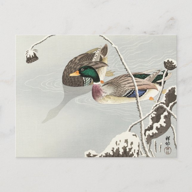 Two Mallards near a Snow-Covered Lotus Painting Postcard (Front)