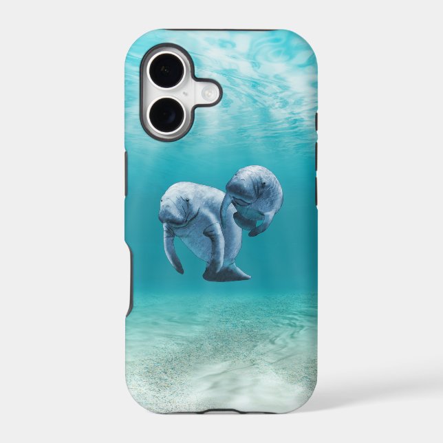 Two Manatees Swimming (Back)