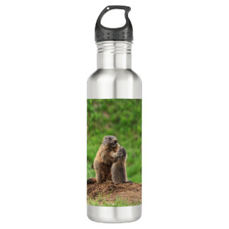 Two marmots 710 ml water bottle