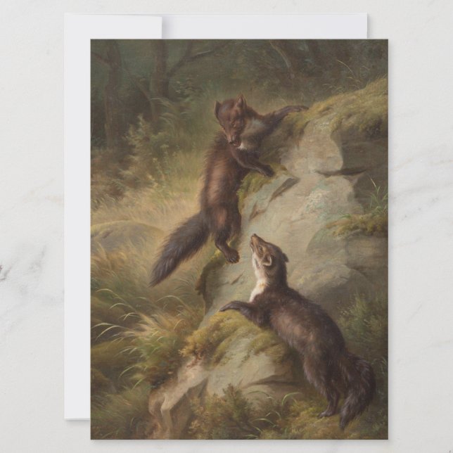 Two Martens in Woodland (Animal Art) Card (Front)