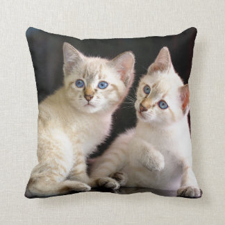 Two Mekong Bobtail Tabby Point Kittens Cushion