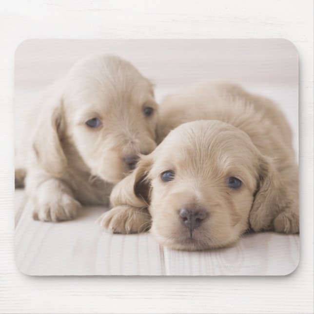 Two Miniature Dachshund Mouse Pad (Front)