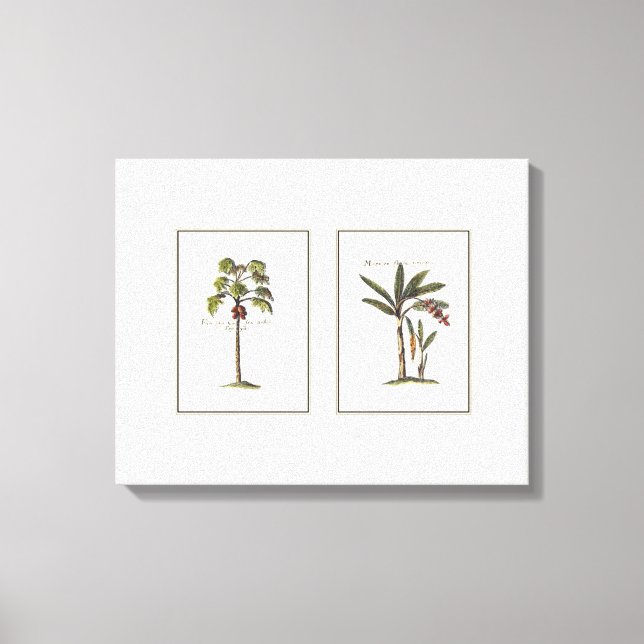 Two Miniature Framed Palm Trees Canvas Print (Front)