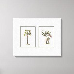 Two Miniature Framed Palm Trees Canvas Print