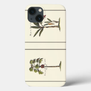 Two Miniature Framed Palm Trees iPhone 13 Case