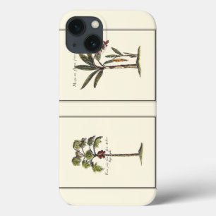 Two Miniature Framed Palm Trees iPhone 13 Case