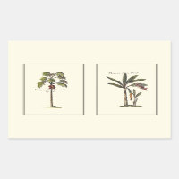 Two Miniature Framed Palm Trees