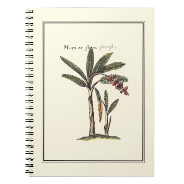 Two Miniature Framed Palm Trees Spiral Notebook (Front)