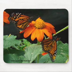 Two Monarchs Mouse Pad