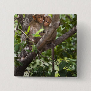 Two Monkeys In A Tree 15 Cm Square Badge