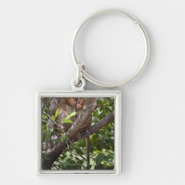 Two Monkeys In A Tree Key Ring (Front)