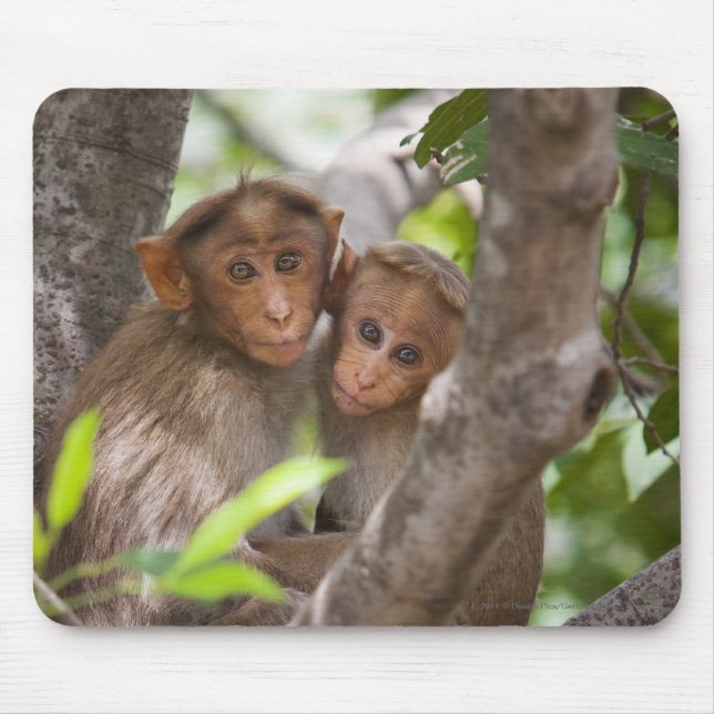 Two Monkeys In A Tree Mouse Pad (Front)