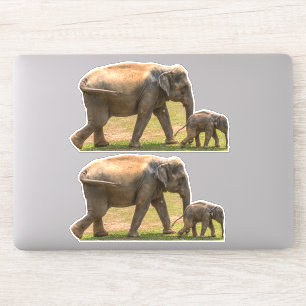 Two Mother and Baby Elephants Vinyl Stickers