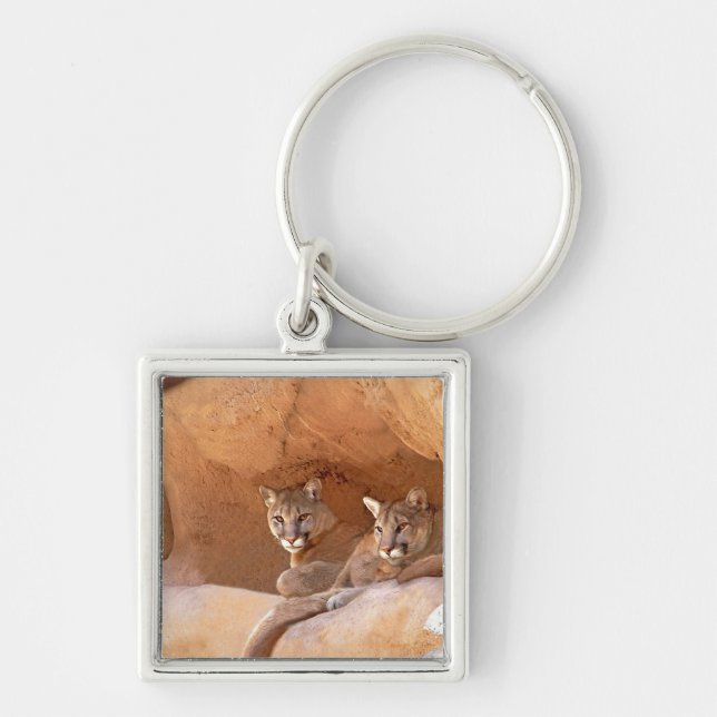 Two Mountain Lions Key Ring (Front)