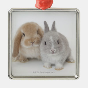Two Netherland Dwarf and Holland Lop Bunnies Metal Tree Decoration